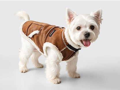 Popocola pet coat