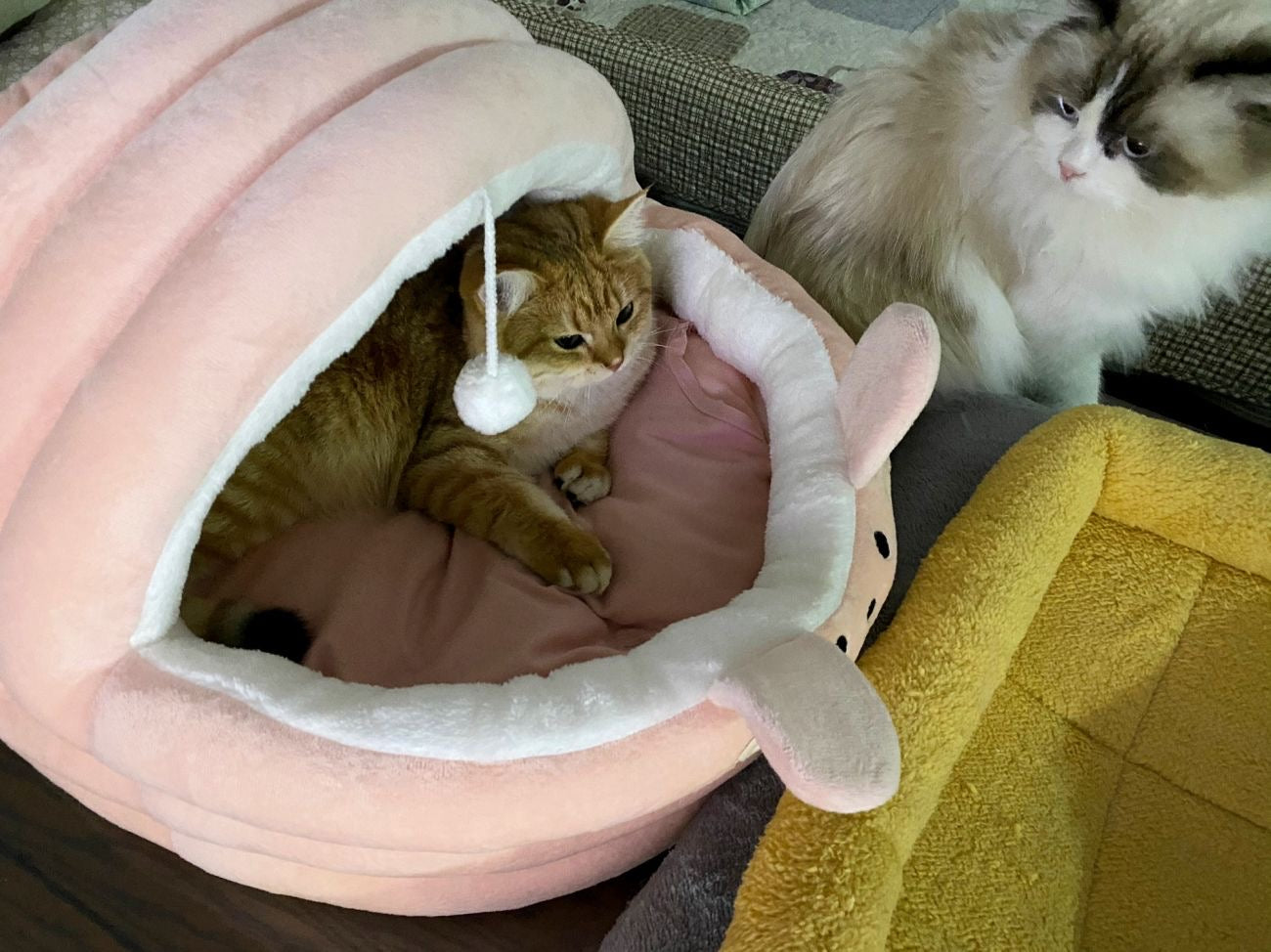 Cute Mouse cat bed