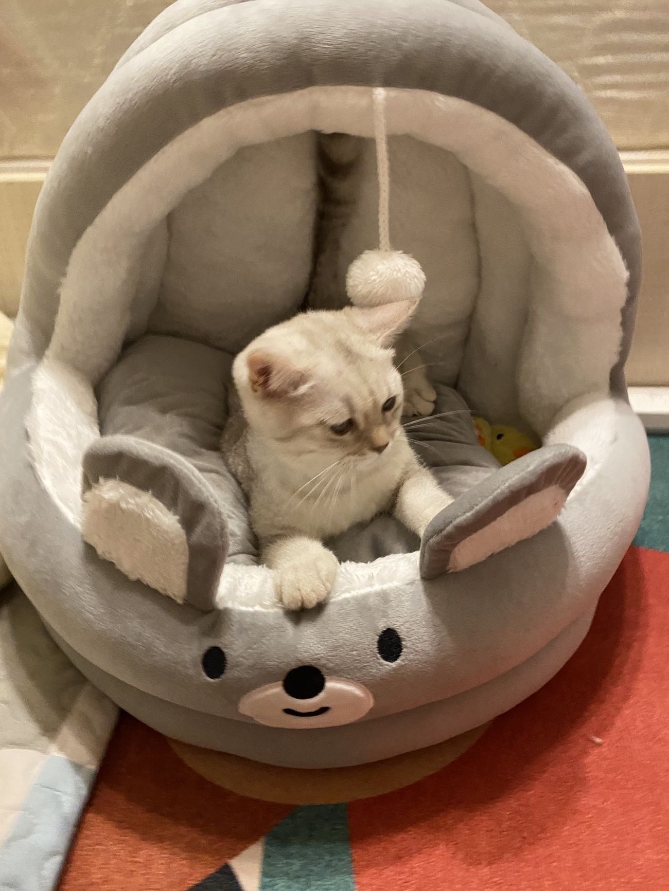 Cute Mouse cat bed