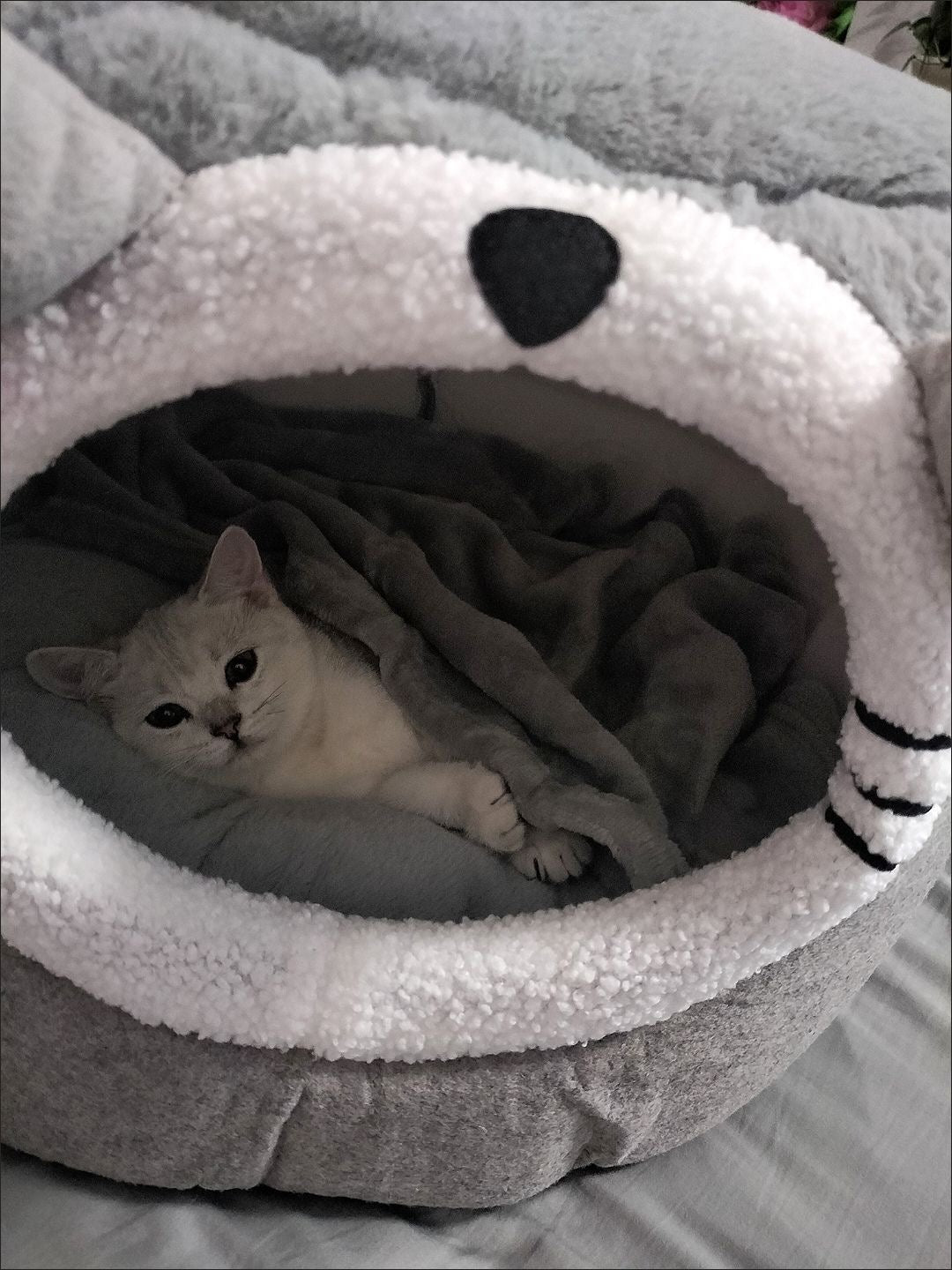 Cute Mouse cat bed