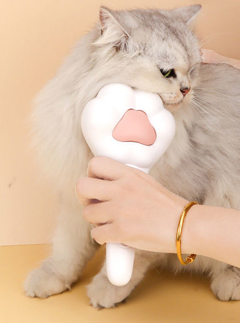 Cat Paw shaped hairbrush