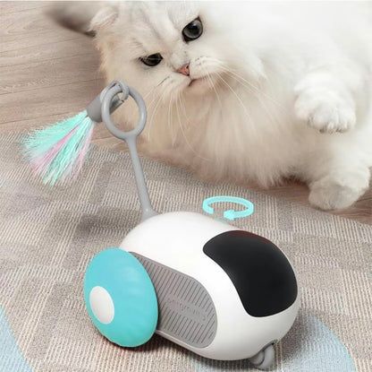 Remote Control Cat & Pet Toy