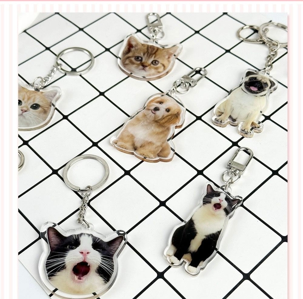 Custom Pet Keyring