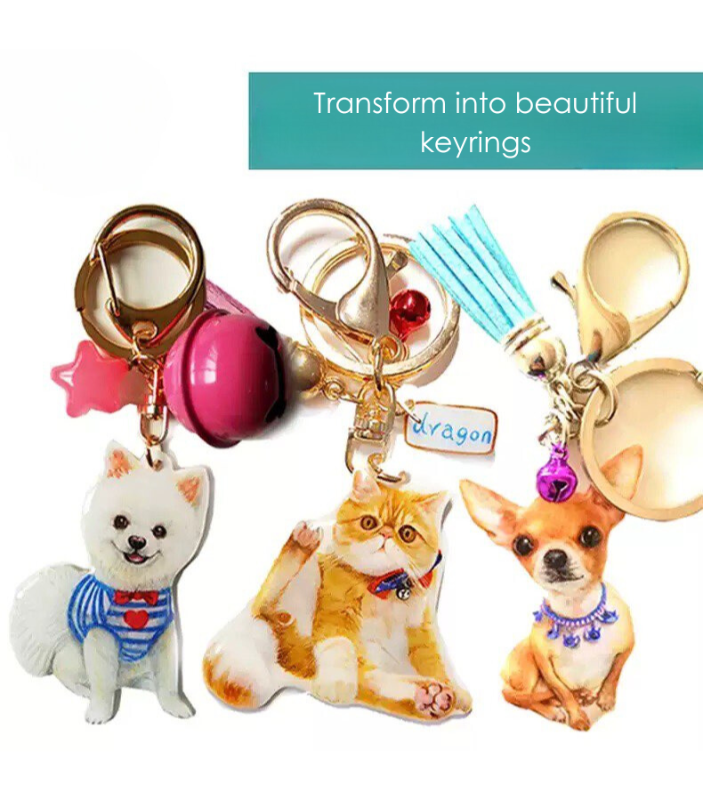 Custom Pet Keyring