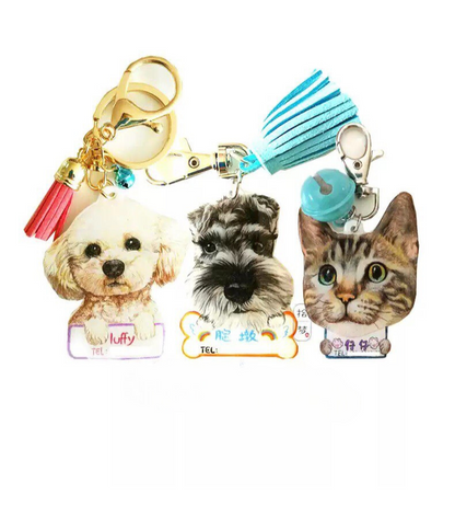 Custom Pet Keyring