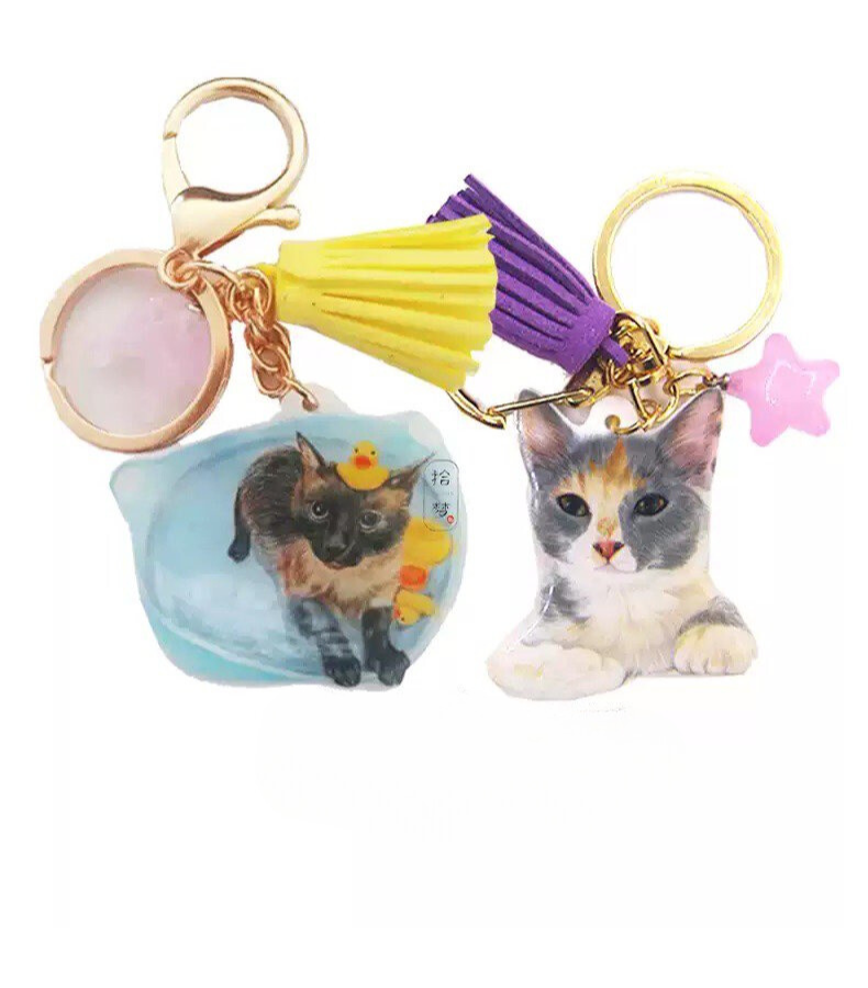 Custom Pet Keyring