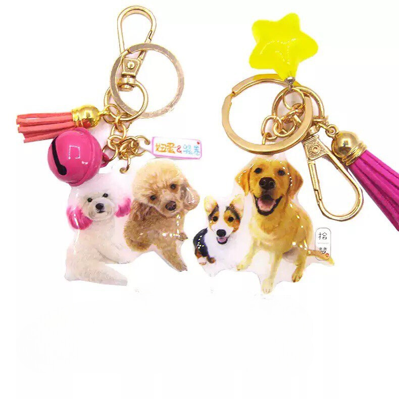 Custom Pet Keyring