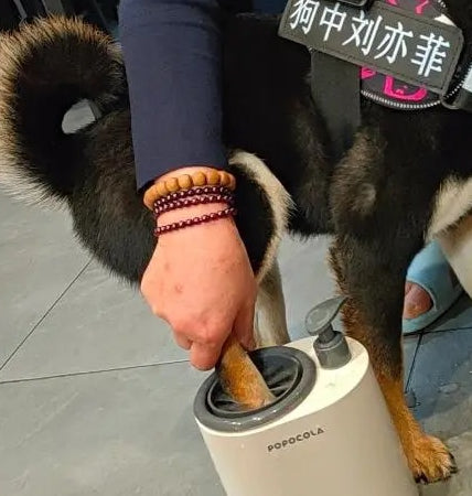 Popocola High Quality Pet Paw washing machine.