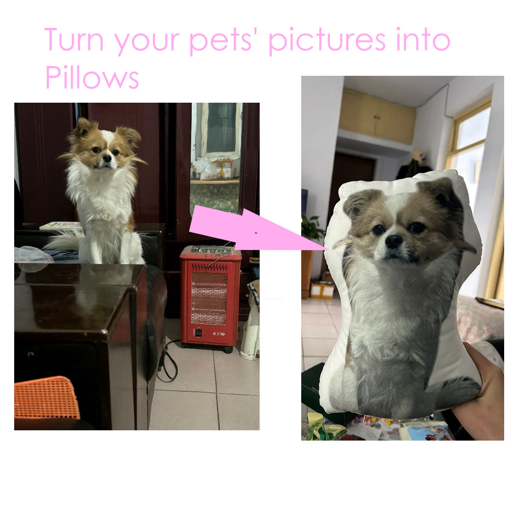 Make your Pet's photo into a Pillow