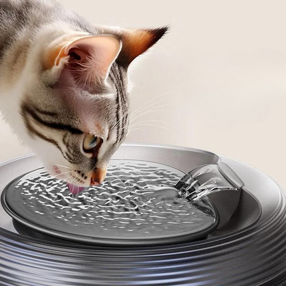 XCHO automatic disepensing and cleaning water bowl for Pets