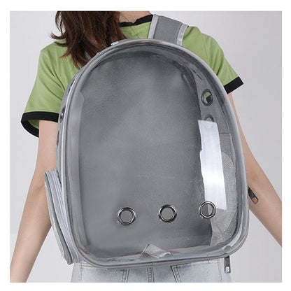 See-through backpack for pet