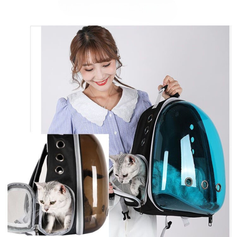 See-through backpack for pet