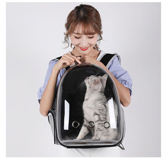 See-through backpack for pet