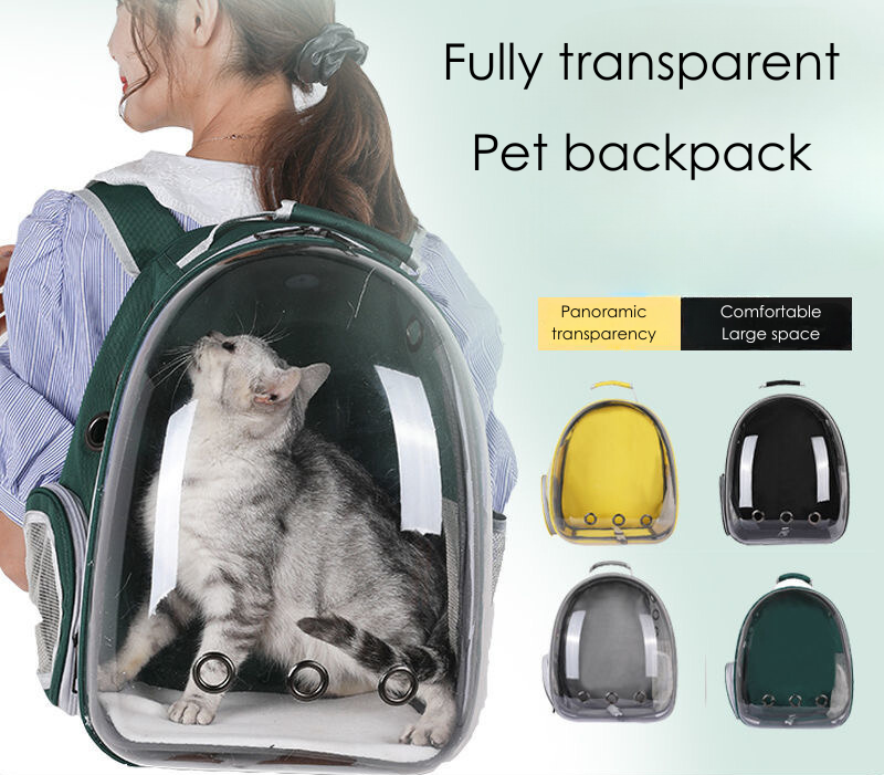 See-through backpack for pet