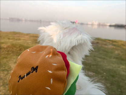 Dog's burger Backpack harness