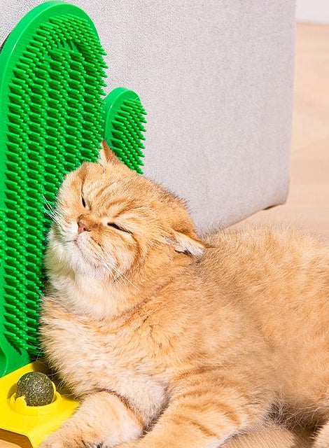 Cactus cat scratcher with Cat nip holder