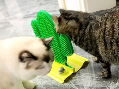 Cactus cat scratcher with Cat nip holder