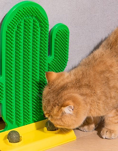 Cactus cat scratcher with Cat nip holder