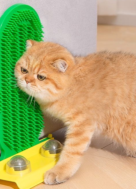 Cactus cat scratcher with Cat nip holder