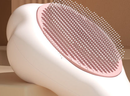 Cat Paw shaped hairbrush