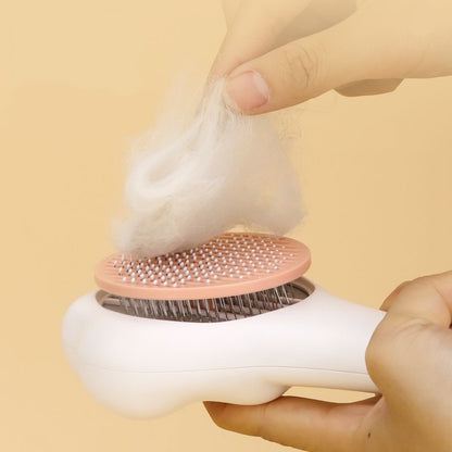 Cat Paw shaped hairbrush