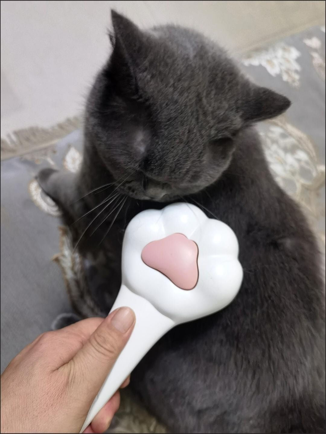 Cat Paw shaped hairbrush