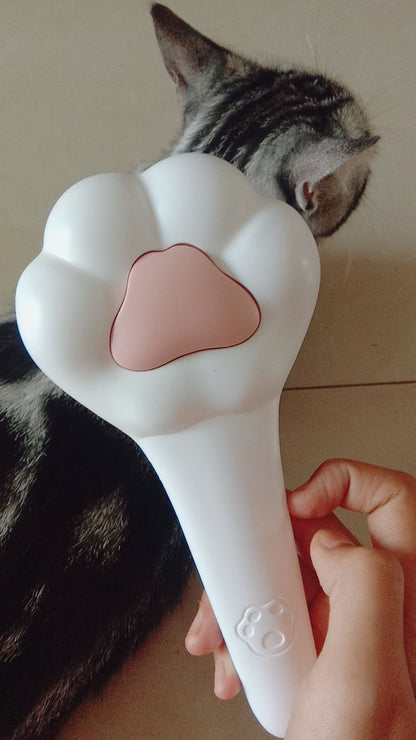 Cat Paw shaped hairbrush