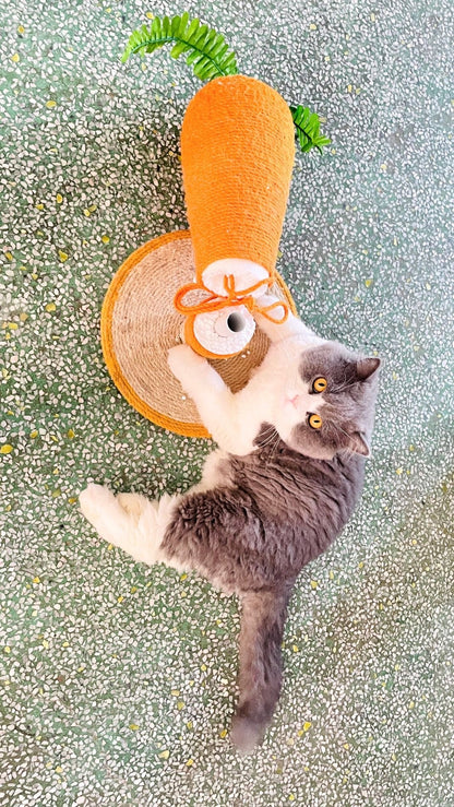 Carrot w/ mouse  2 in 1 Scratching and Ball Cat Toy