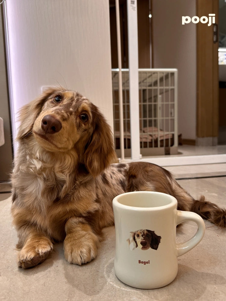 Custom Cartoon stylized Pet Mug