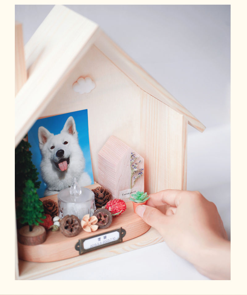 Custom pet diorama, memorial. Shrine for remembering, loving and respecting your pet.