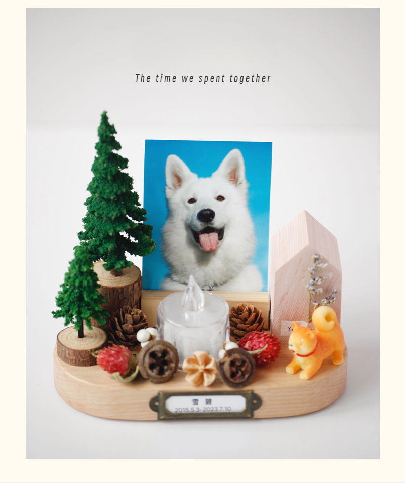 Custom pet diorama, memorial. Shrine for remembering, loving and respecting your pet.