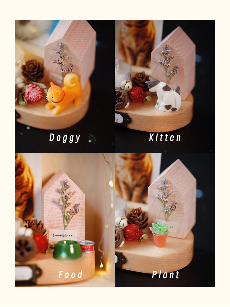 Custom pet diorama, memorial. Shrine for remembering, loving and respecting your pet.