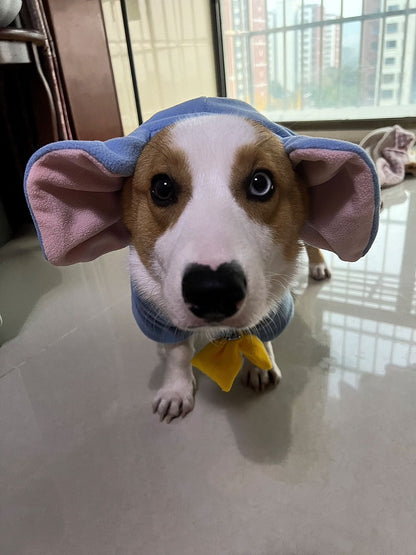 Cute Blue dog hoodie with ears