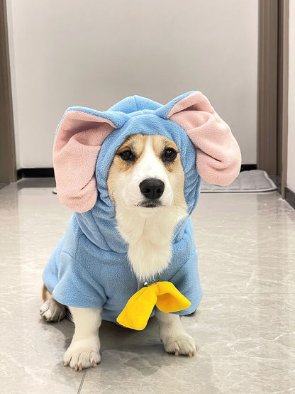 Cute Blue dog hoodie with ears