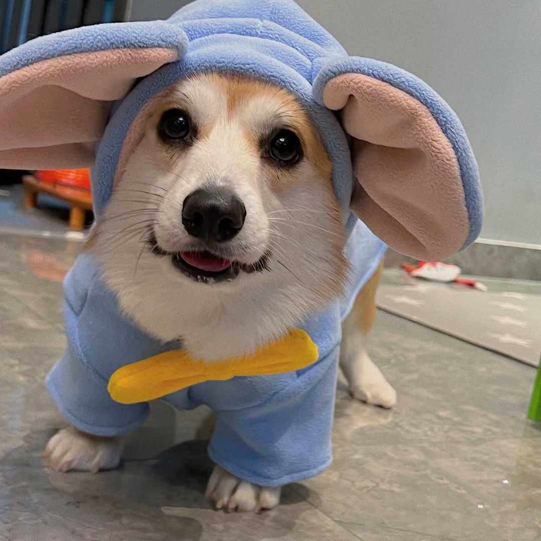 Cute Blue dog hoodie with ears