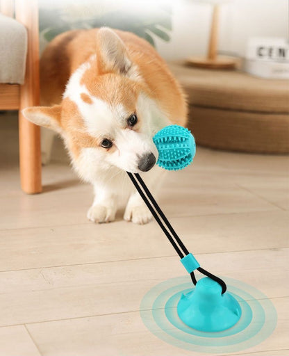 Floor attatched dog toy - Fitness and Fun