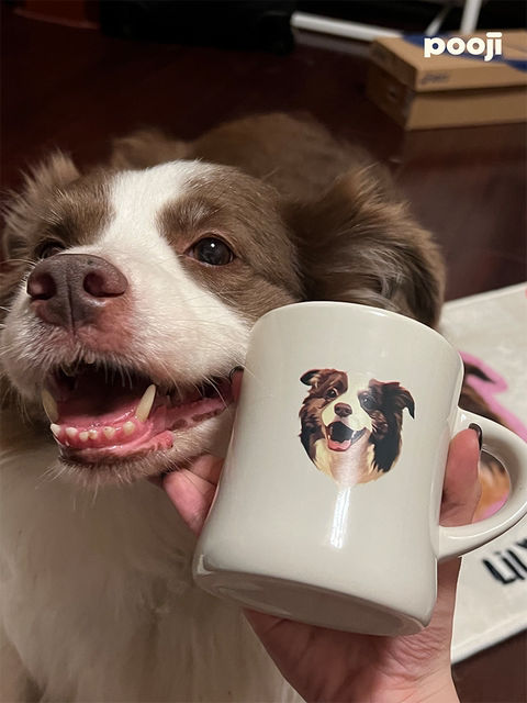 Custom Cartoon stylized Pet Mug