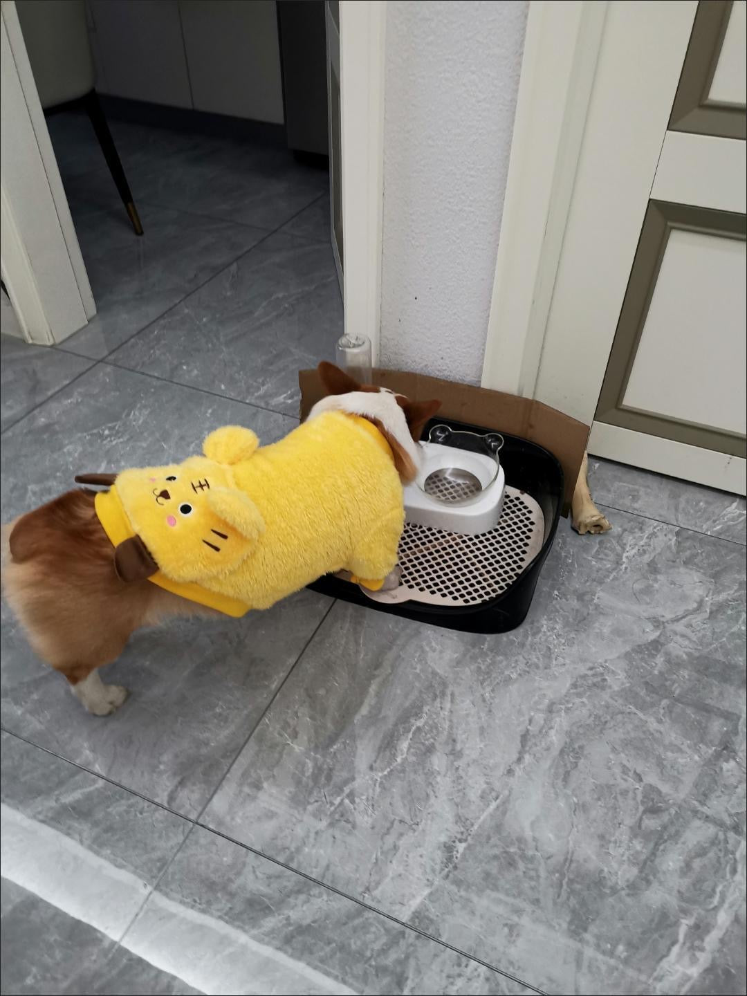 Dog jumper, with yellow mouse design