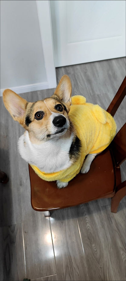 Dog jumper, with yellow mouse design