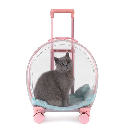 Suitcase for cat