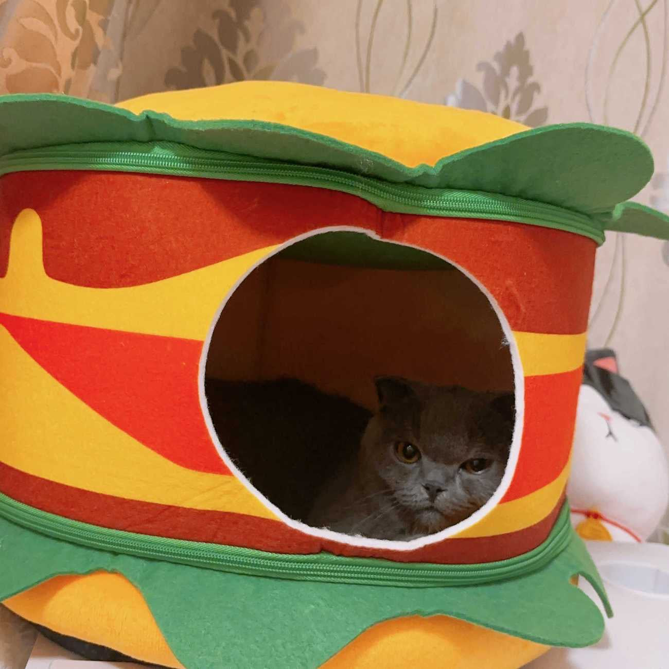 Burger/Fries pet bed