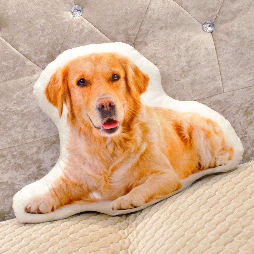 Make your Pet's photo into a Pillow