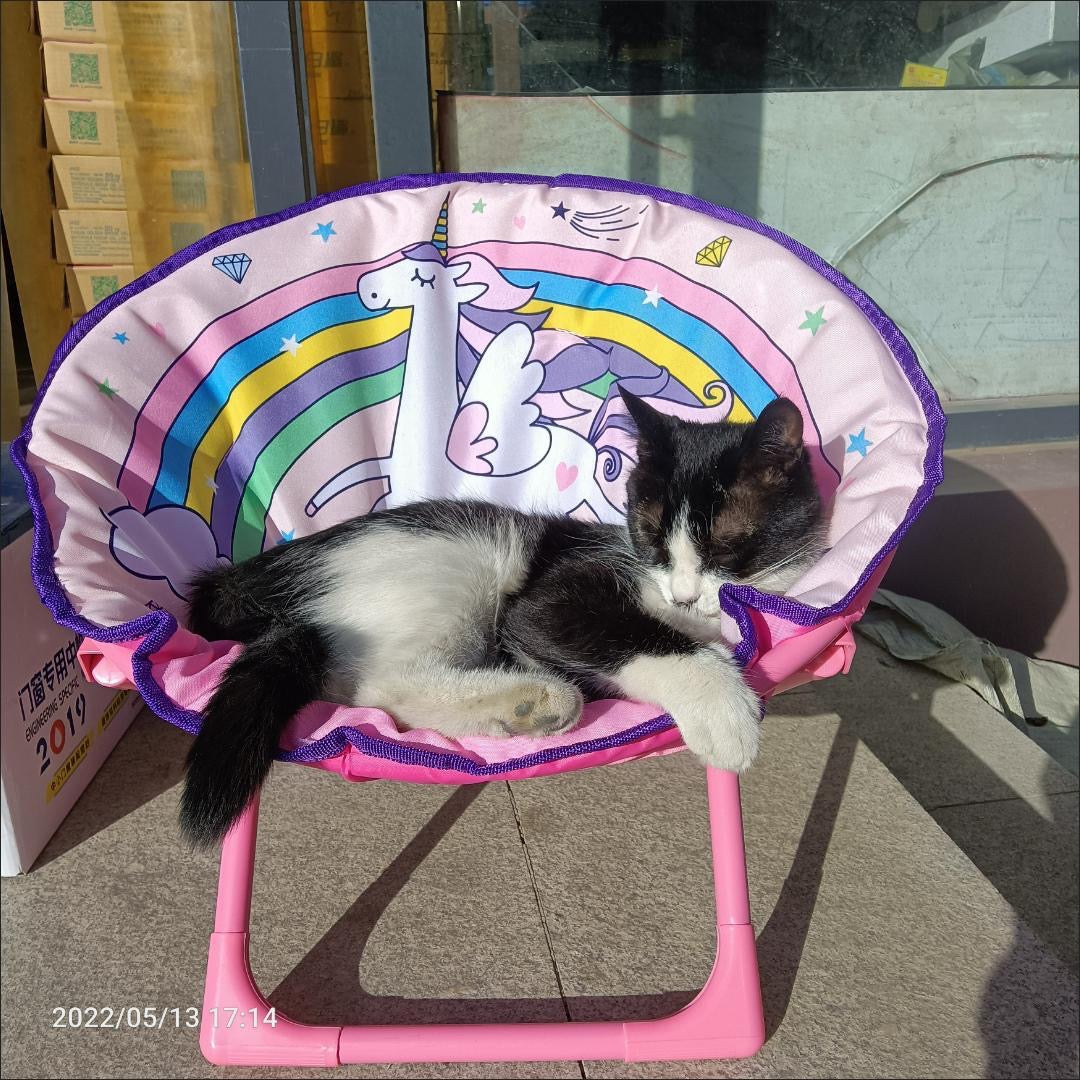 Cat and Dog Chair