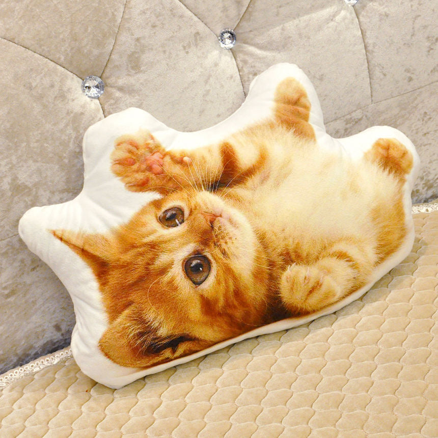 Make your Pet's photo into a Pillow