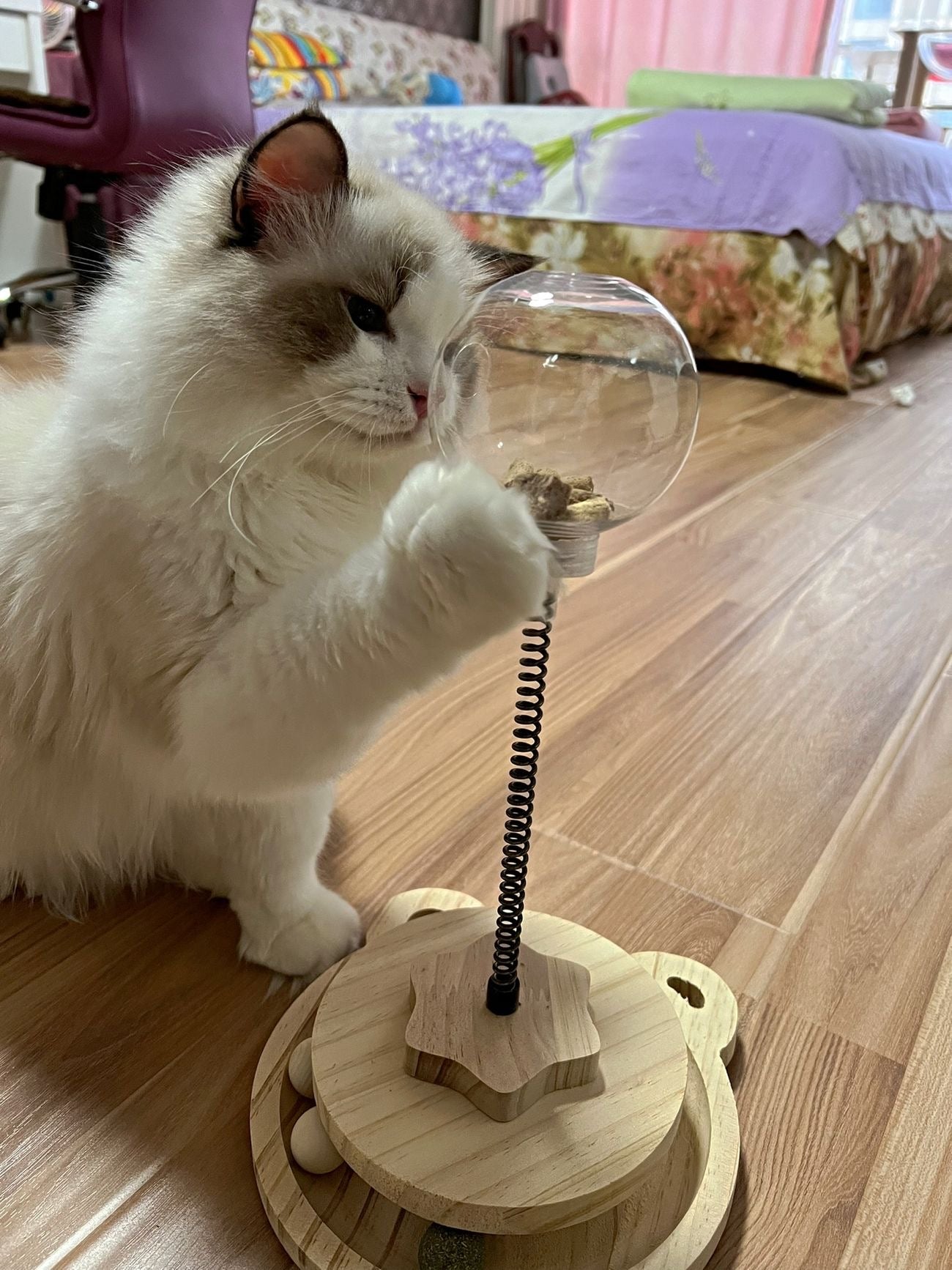 Treat dispensing spring-loaded cat toy