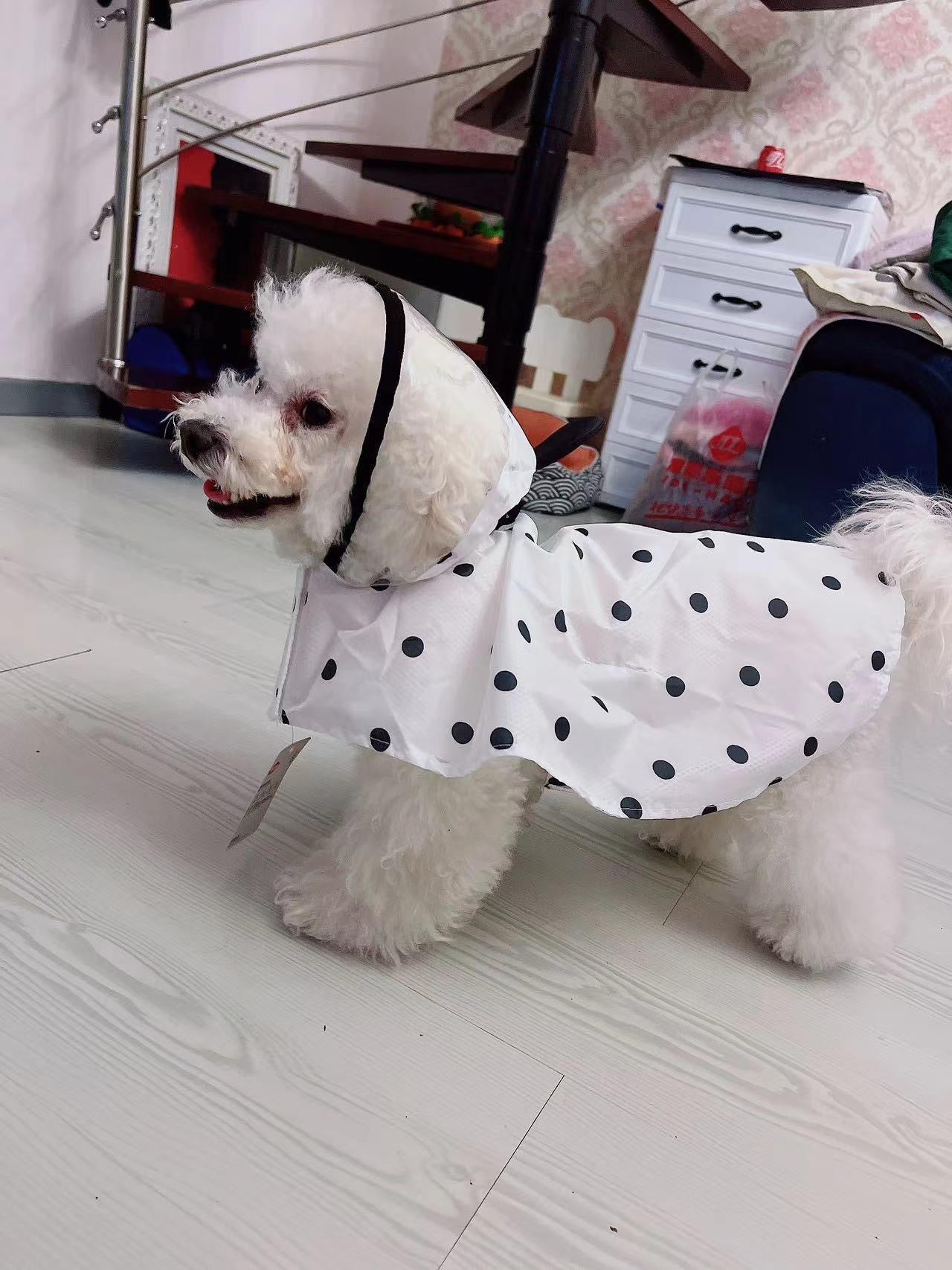 Cute Black and White Polka Dot small dog coat