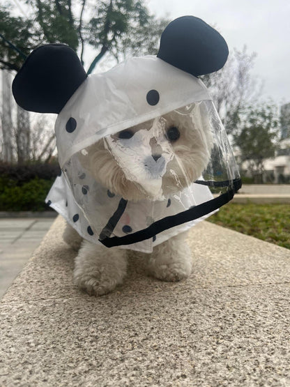 Cute Black and White Polka Dot small dog coat