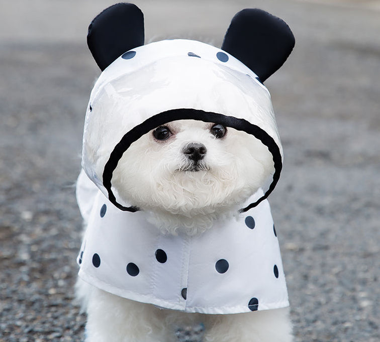 Cute Black and White Polka Dot small dog coat