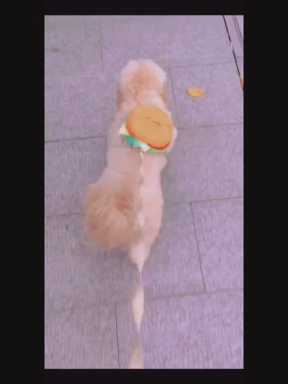 Dog's burger Backpack harness