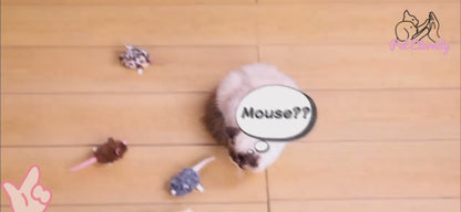 Smart Automatic Cat Toy -  Moving & Tail Shaking Mouse Toy for Pets